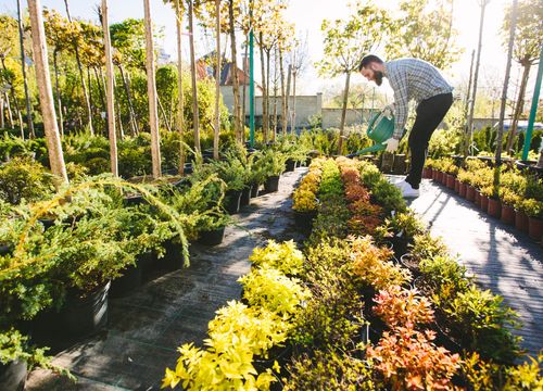 Difesa Facility Management - Garden & Landscape Maintenance