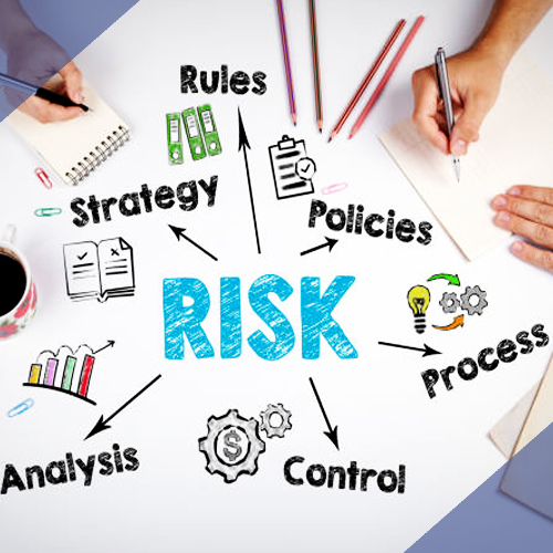 Risk management system